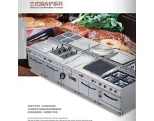 立式组合炉系列